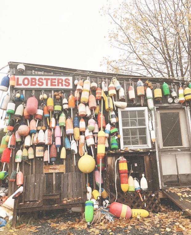 You can enjoy the view as a driver takes care of the details: Scenic Drive Traveling Maine S Coast To Boston In The Fall 7 Day Maine Itinerary Go French Yourself