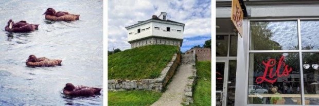 Denver's best brewery tours top things to do free things to do things to do with kids skiing. How To Make The Most Of A Quick Trip From Boston To Portland Maine In The Summer