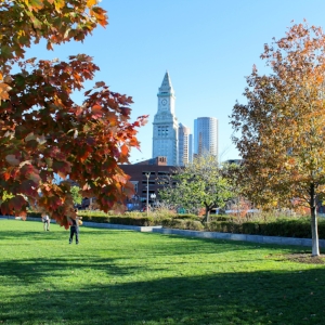 Photo See 5,615 traveler reviews, 1,756 candid photos, and great deals for intercontinental boston, ranked #16 of 99 hotels in boston and rated 4.5 of 5 at tripadvisor. 8 Us Destinations For Solo Travel Lattes Life Luggage