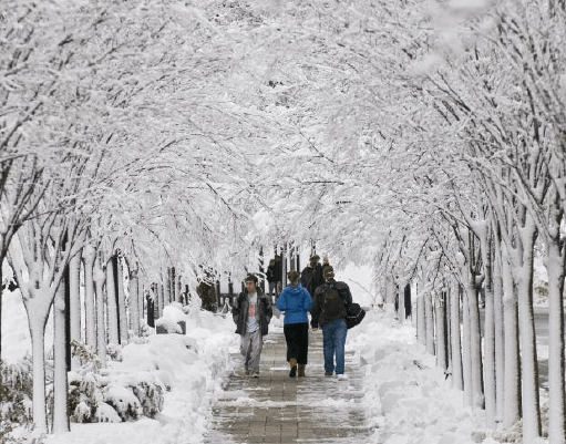 Boston college, located in chestnut hill, massachusetts, is a private jesuit catholic university with 9,350 undergrads and 4,630 postgraduates. Surprised By Conversation A Reflection On Core Renewal At Boston College Conversations