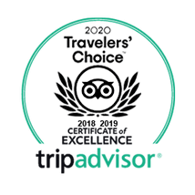 Fenway park tour is a must for anyone interested in american sporting history as this is one of the most iconic sports stadium in america. Boston Sightseeing Tours Private Tours Step On Guides Ma