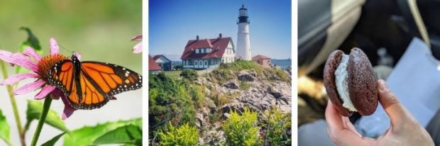 Within a few hours of phoenix, you can discover wineries, natural wonders, mining towns turned into artist colonies, and more. How To Make The Most Of A Quick Trip From Boston To Portland Maine In The Summer