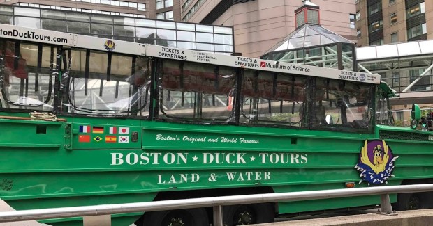 Learn what makes each one distinct and which ducks are which with these descriptions and photos. Hawaii Mom Blog Visit Boston Boston Duck Tours