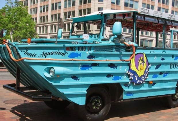 For the most current information about a financial product, you should always check and confirm accuracy with the offering financial institution. Aquarium News And Updates