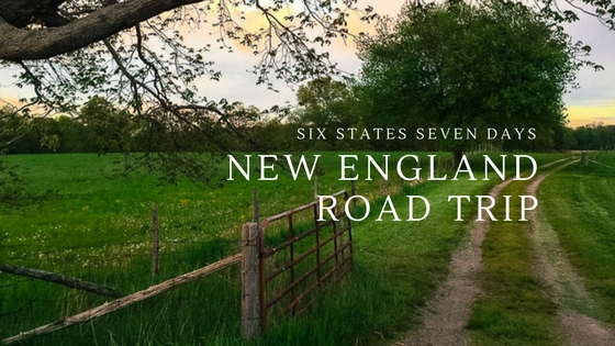 2016 andra day aquila arkells bike billie holiday bmw brasil cars documentary drake facebook fjords gigafactory golden globes google gts hoverboard jason bourne king arthur koenigsegg m4 matt damon movie music norway olympics porsche racing rio segway skate skateboard spirits sully surfing svalbard talk ted tesla the great wall the sartorialist. Six States In Seven Days New England Road Trip Usa The Traveling Ginger